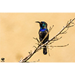 <b>Photo:</b> Michel Sawan