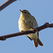 <b>Photo:</b> Michel Sawan