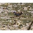 <b>Photo:</b> Michel Sawan