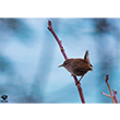 <b>Photo:</b> Michel Sawan