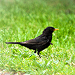 <b>Photo:</b> Michel Sawan