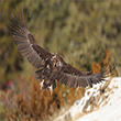 <b>Date:</b> 2026<br><b>Photo:</b> Fouad Itani