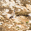 <b>Photo:</b> Michel Sawan