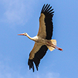 <b>Photo:</b> Michel Sawan