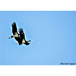 <b>Photo:</b> Michel Sawan