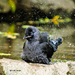 <b>Photo:</b> Michel Sawan
