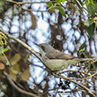 <b>Photo:</b> Michel Sawan