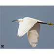 <b>Photo:</b> Michel Sawan