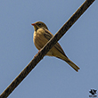 <b>Photo:</b> Michel Sawan