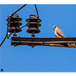 <b>Photo:</b> Michel Sawan