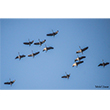 <b>Photo:</b> Michel Sawan