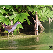 <b>Photo:</b> Michel Sawan