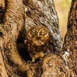 <b>Photo:</b> Michel Sawan