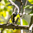 <b>Photo:</b> Michel Sawan
