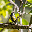 <b>Photo:</b> Michel Sawan