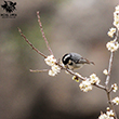 <b>Photo:</b> Michel Sawan