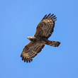 <b>Photo:</b> Michel Sawan