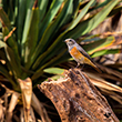 <b>Photo:</b> Michel Sawan