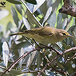 <b>Photo:</b> Michel Sawan