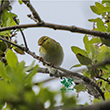 <b>Photo:</b> Michel Sawan