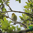 <b>Photo:</b> Michel Sawan
