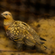 <b>Photo:</b> Michel Sawan