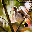 <b>Photo:</b> Michel Sawan