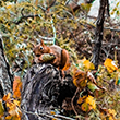 <b>Location:</b> Qobayat-Lebanon<br><b>Photo:</b> Georges Mikhael