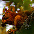 <b>Location:</b> Qobayat-Lebanon<br><b>Photo:</b> Georges Mikhael