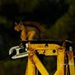 <b>Location:</b> Qobayat-Lebanon<br><b>Photo:</b> Georges Mikhael