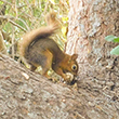 <b>Location:</b> Qobayat-Lebanon<br><b>Photo:</b> Georges Mikhael
