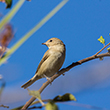 <b>Photo:</b> Michel Sawan