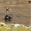 <b>Photo:</b> Michel Sawan