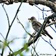 <b>Photo:</b> Michel Sawan