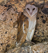 <b>Photo:</b> Michel Sawan
