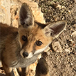 <b>Location:</b> Ansar - South Lebanon<br><b>Photo:</b> Mazen Hashem